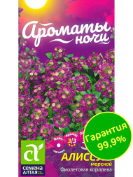 Алиссум Фиолетовая Королева [Семена алтая]