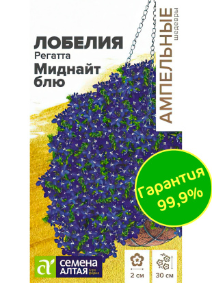 Лобелия Регатта Миднайт Блю ампельная [Семена алтая]