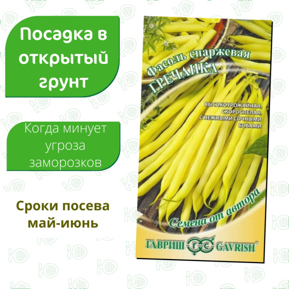 Фасоль Гречанка кустовая спаржевая [Гавриш] купить с доставкой