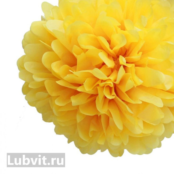 Хризантема корейская Помпон Еллоу (Pompon Yellow) купить с доставкой Хризантема корейская Помпон Еллоу (Pompon Yellow) купить с доставкой