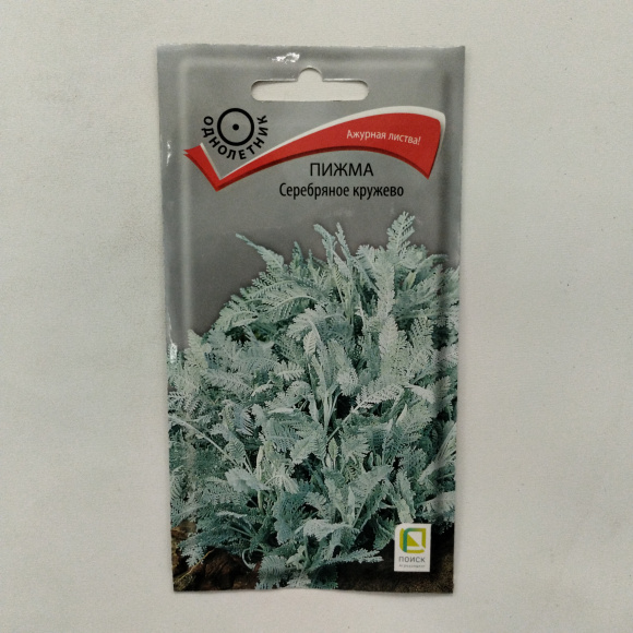 Пижма Серебряное кружево [Поиск] купить с доставкой