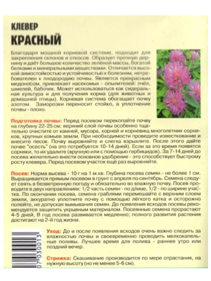 Клевер Красный [Семена редких растений] купить с доставкой