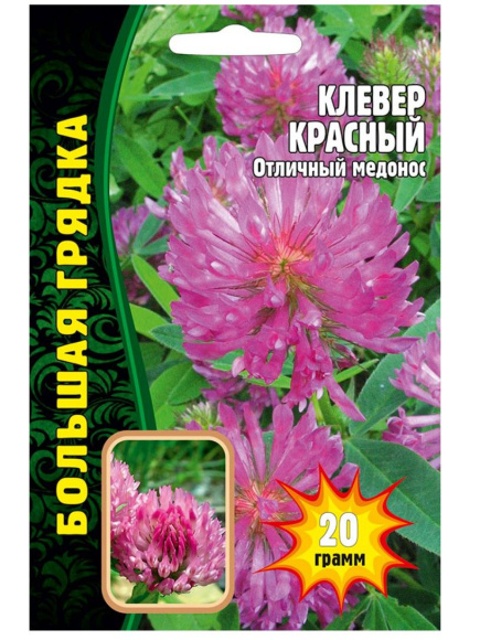 Клевер Красный [Семена редких растений] купить с доставкой