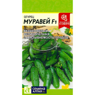 Огурец Муравей [Семена алтая]