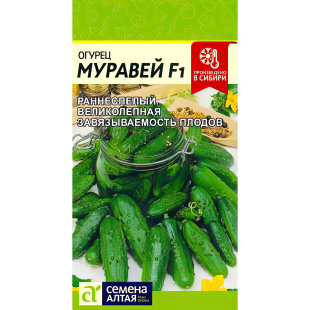 Огурец Муравей [Семена алтая]