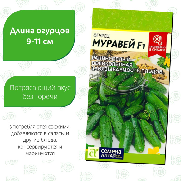 Огурец Муравей [Семена алтая] купить с доставкой