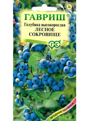 Голубика Лесное Сокровище высокорослая [Гавриш]