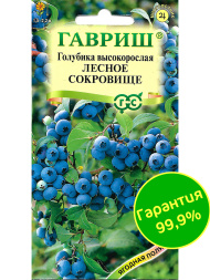 Голубика Лесное Сокровище высокорослая [Гавриш]