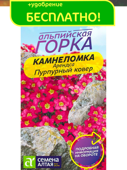 Камнеломка Пурпурный ковер Арендса [Семена алтая] купить с доставкой