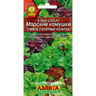 Салат Бэби Морские Камушки смесь [Аэлита]