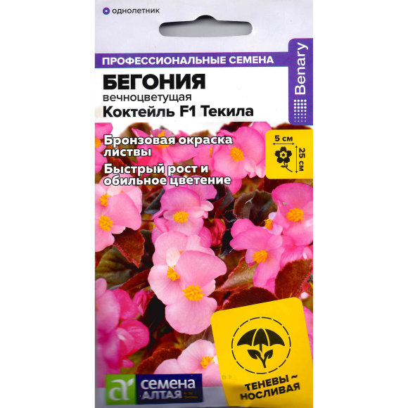 Бегония Коктейль Текила вечноцветущая [Семена алтая] купить с доставкой