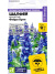 Шалфей Фэйри Куин мучнистый [Семена алтая] купить с доставкой