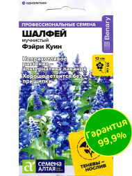 Шалфей Фэйри Куин мучнистый [Семена алтая]