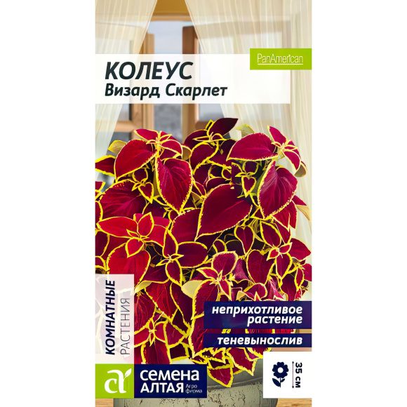 Колеус Визард Скарлет [Семена алтая] купить с доставкой