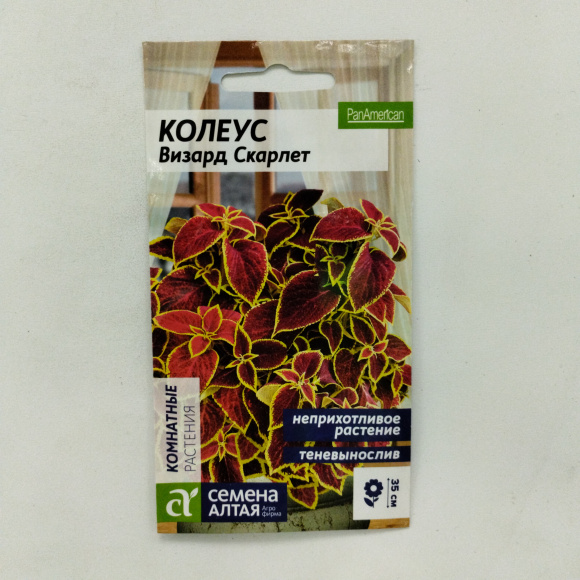 Колеус Визард Скарлет [Семена алтая] купить с доставкой