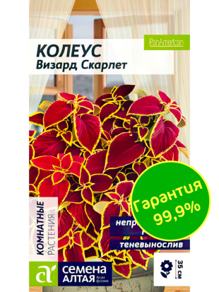 Колеус Визард Скарлет [Семена алтая]