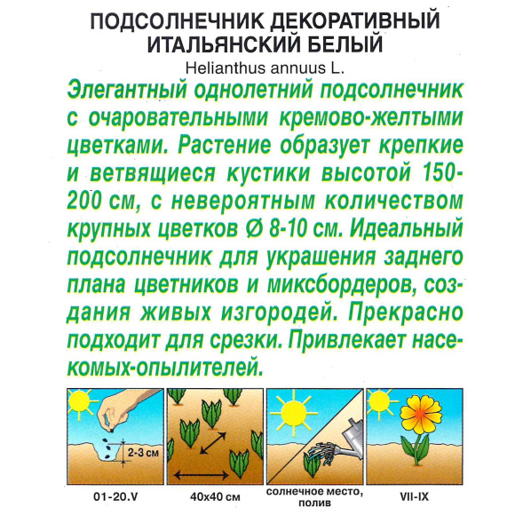 Подсолнечник декоративный Итальянский белый [Аэлита] купить с доставкой