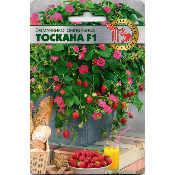 Земляника Тоскана [Биотехника] купить с доставкой