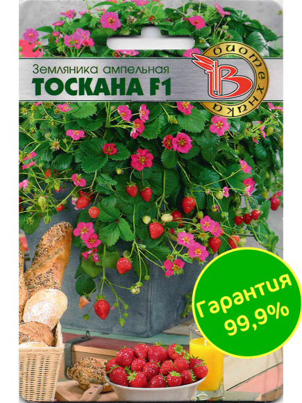 Земляника Тоскана [Биотехника] купить с доставкой