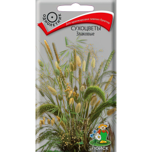 Сухоцветы Злаковые [Поиск]