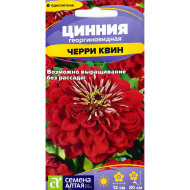 Цинния Черри Квин георгиноцветковая [Семена алтая]