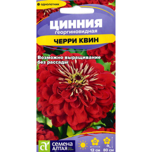 Цинния Черри Квин георгиноцветковая [Семена алтая]