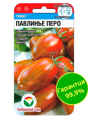 Томат Павлинье перо [Сибирский сад]