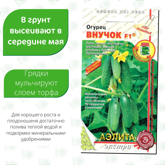 Огурец Внучок [Аэлита] купить с доставкой