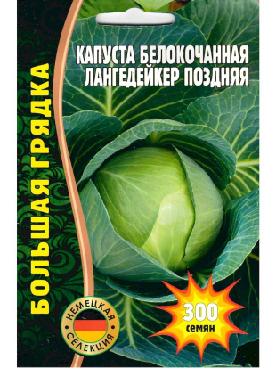 Капуста б/к Лангедейкер поздняя [Семена редких растенитй]