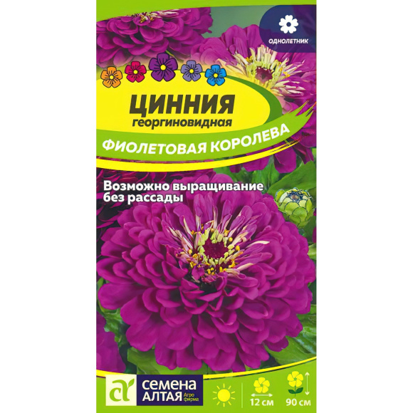 Цинния Фиолетовая Королева георгиноцв. [Семена алтая] с доставкой