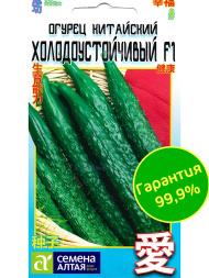 Огурец Китайский Холодоустойчивый [Семена алтая]