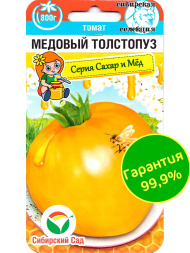 Томат Медовый толстопуз [Сибирский сад]