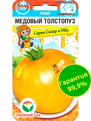 Томат Медовый толстопуз [Сибирский сад]