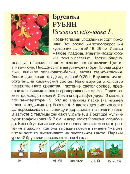 Брусника Рубин [Гавриш] купить с доставкой