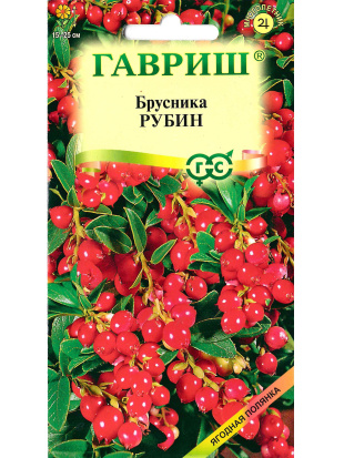 Брусника Рубин [Гавриш]