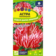 Астра Седая Дама Красная [Семена алтая]