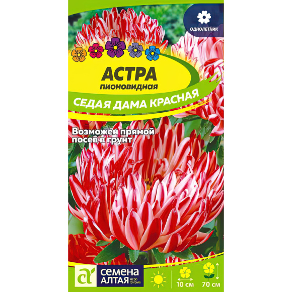 Астра Седая Дама Красная [Семена алтая] с доставкой