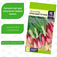 Лук на Зелень Красный Пучок [Семена алтая]