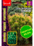 Сосна Пумилио карликовая [Семена редких растений] купить с доставкой