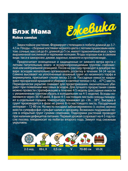 Ежевика Блэк Мама крупноплодная [Семена алтая] купить с доставкой