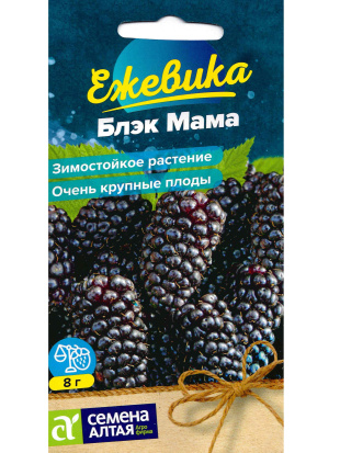 Ежевика Блэк Мама крупноплодная [Семена алтая]