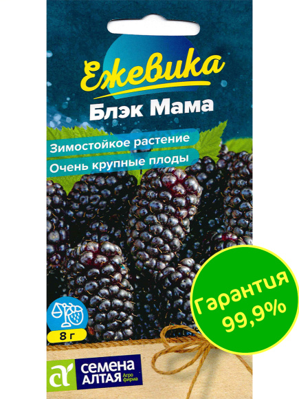 Ежевика Блэк Мама крупноплодная [Семена алтая] купить с доставкой