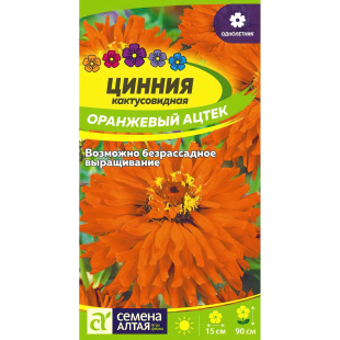 Цинния Оранжевый Ацтек кактусовидная [Семена алтая]