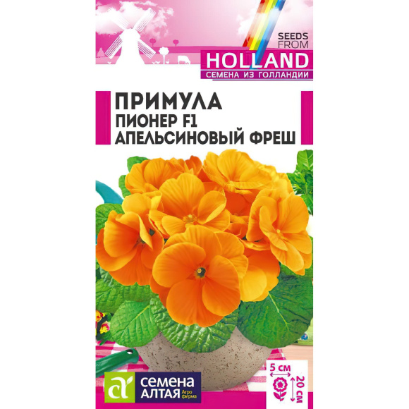 Примула Пионер Апельсиновый фреш [Семена алтая] купить с доставкой