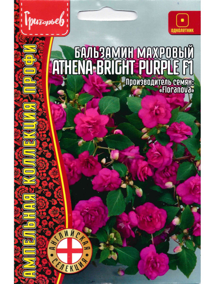 Бальзамин Уоллера Athena Bright Purple [Семена редких растений] купить с доставкой