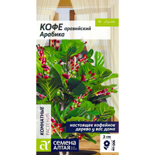 Кофе Арабика аравийский [Семена алтая]