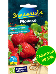 Земляника Монако ремонтантная крупноплодная [Семена алтая]