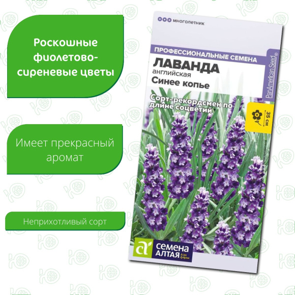 Лаванда Синее копье узколистная [Семена алтая] купить с доставкой