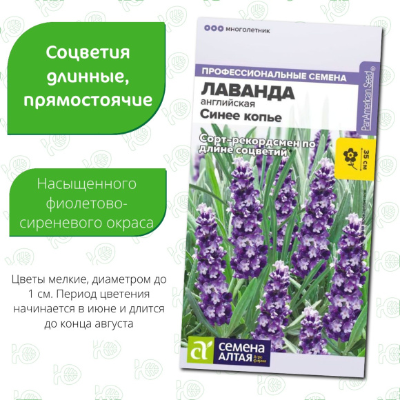 Лаванда Синее копье узколистная [Семена алтая] купить с доставкой