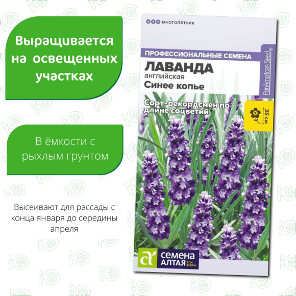 Лаванда Синее копье узколистная [Семена алтая] купить с доставкой